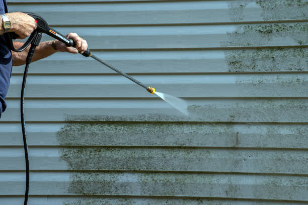 Best Pressure Washing Company Near Me  in Jemez Pueblo, NM