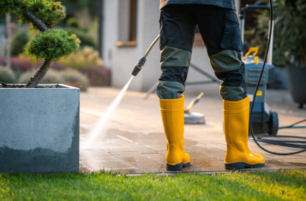 Best Fence Pressure Washing  in Jemez Pueblo, NM